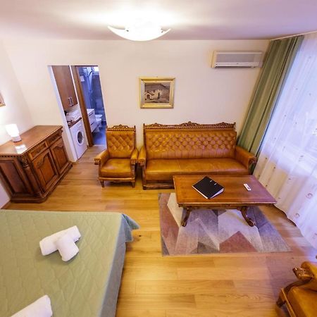 Apartament Family Rivulus 8 Baia Mare Exterior foto