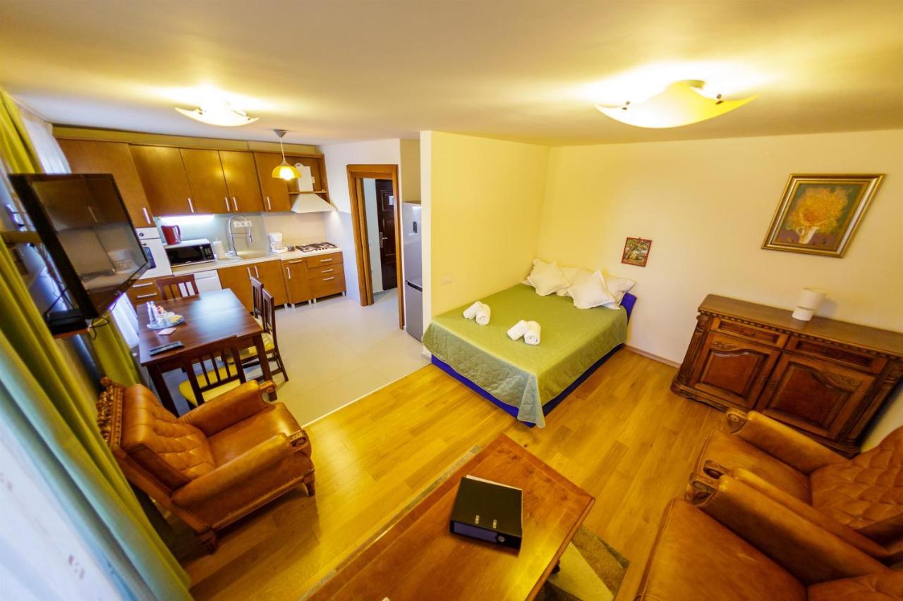 Apartament Family Rivulus 8 Baia Mare Exterior foto